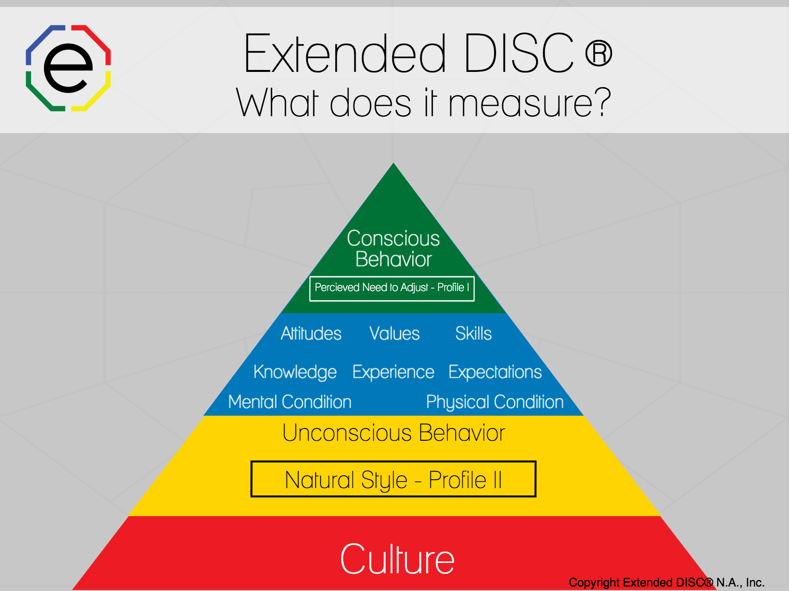 Extended DISC® Model: What the tool does and does not measure
